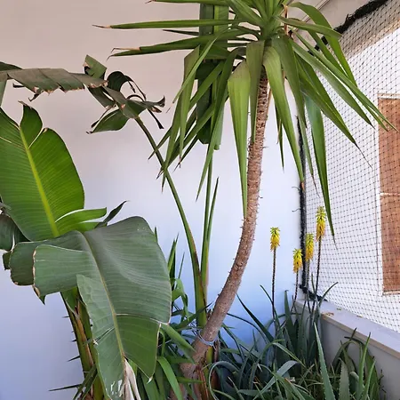 Apartment Gallybi