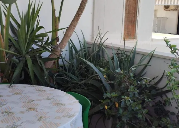 Gallybi Apartamento *